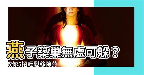 燕子巢處理|【燕子巢處理】温馨處理燕子巢的密技！人燕和睦兩不誤，還可避。